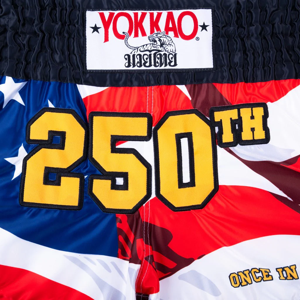 YOKKAO 250th Anniversary Shorts - Image 3