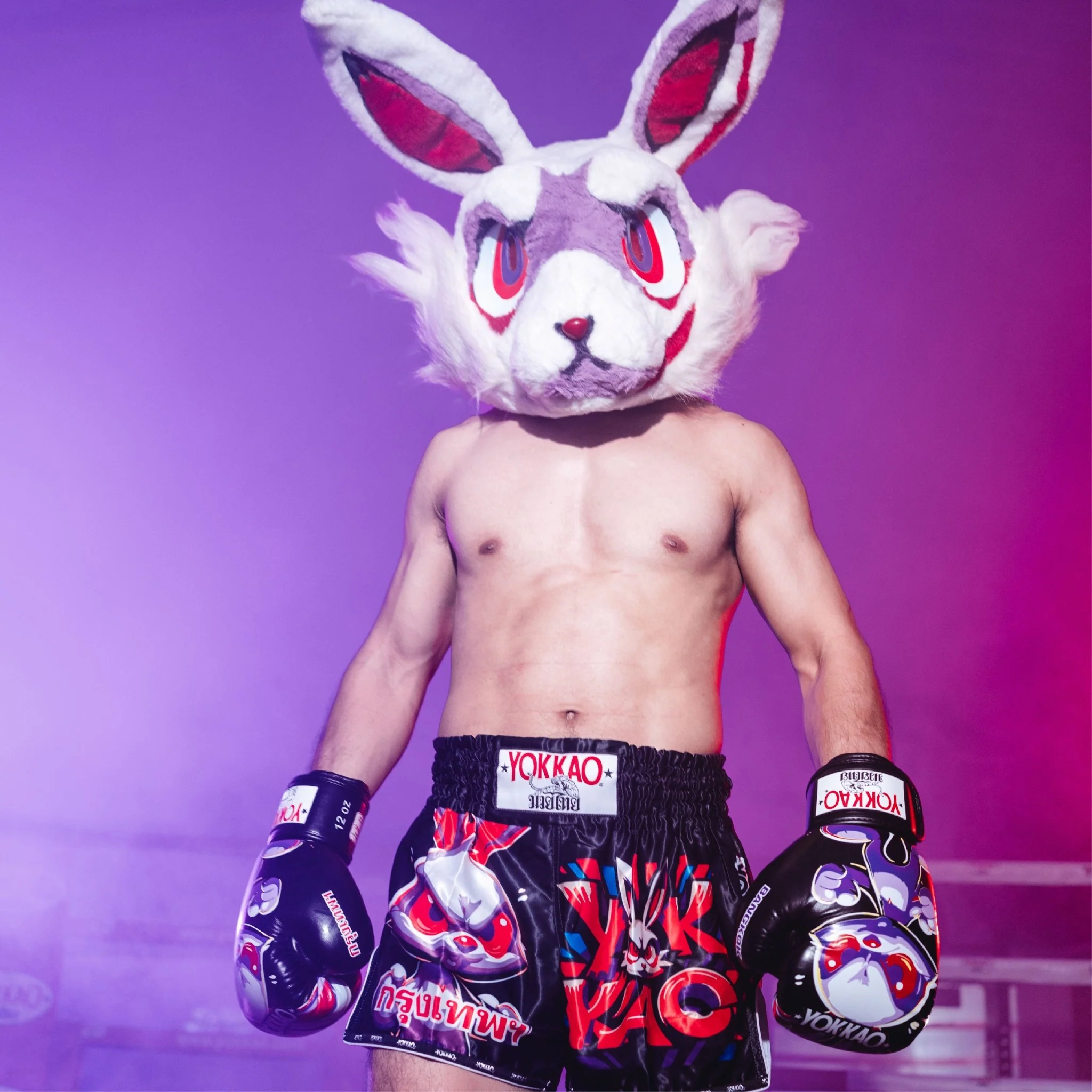 Angry Rabbit Boxing Gloves - Image 6